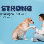 5 Strong Yet Subtle Signs That Your Dog Trusts You