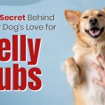 dog belly rubs