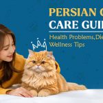 Persian Cat Care Guide: Health Problems, Diet, and Wellness Tips
