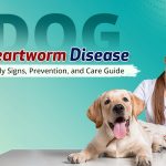 Dog Heartworm Disease