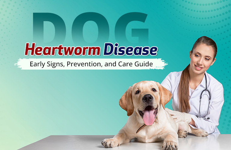 Dog Heartworm Disease