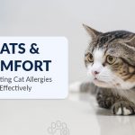 Living with Cats: How to Manage Cat Allergy Symptoms Effectively