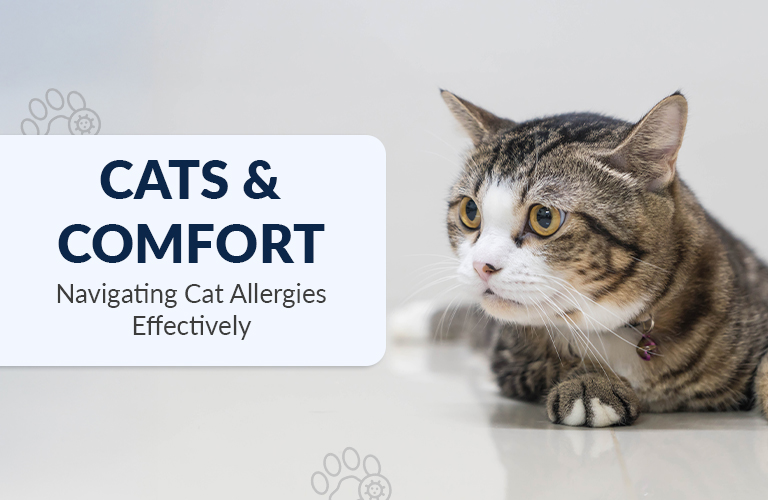 Living with Cats: How to Manage Cat Allergy Symptoms Effectively