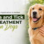 How Long Does Flea and Tick Medicine Take to Work on Dogs?