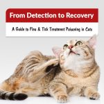 Flea and Tick Poisoning in Cats